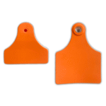 Maxi Boy Hayvan Kulak Küpesi - Görsel 2