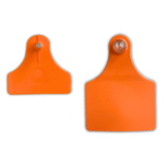 Maxi Boy Hayvan Kulak Küpesi